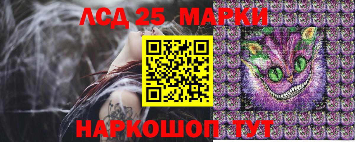 магазин продажи наркотиков  Марки NBOMe 1500мкг  Лесозаводск  Вход с VPN  Марки NBOMe 1500мкг 
