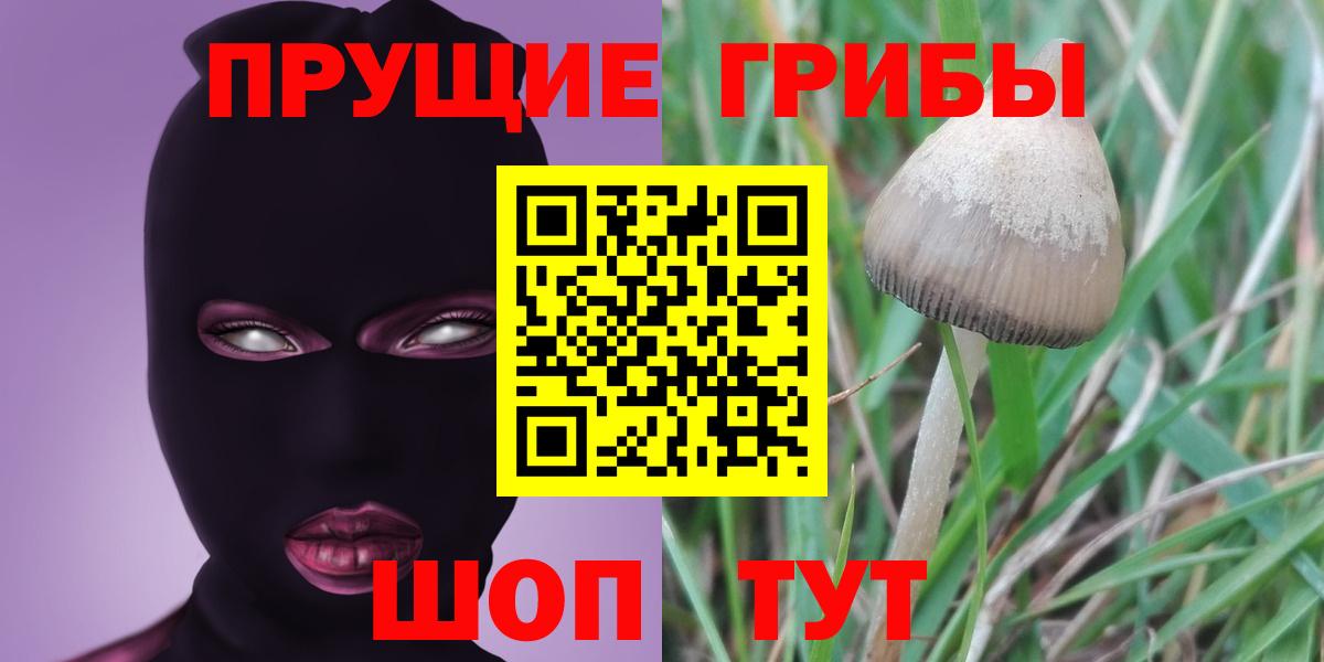 Галлюциногенные грибы MAGIC MUSHROOMS  Вход с VPN  Лесозаводск  Галлюциногенные грибы мицелий 